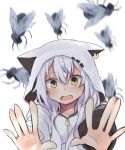  animal_ears animal_hood azuma_lim azuma_lim_channel bangs blurry blurry_background blush brown_eyes bug cat_ears cat_hood daifukumochi_(akaaokiiwo) depth_of_field ear_piercing eyebrows_visible_through_hair fleeing fly hair_between_eyes highres hood hood_up hoodie insect long_hair long_sleeves open_mouth outstretched_arms piercing silver_hair solo tears virtual_youtuber white_background white_hoodie 