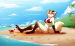  16:10 2018 anthro arthropod beach bikini breasts brown_fur canine chest_tuft cleavage clothed clothing clovis_(twokinds) crab crossgender crustacean detailed_background digitigrade eyewear female feral footprint fox fur gloves_(marking) hi_res hybrid imminent_pain keidran leaning leaning_back looking_at_viewer lounging mammal marine markings midriff multicolored_fur outside pawpads pink_pawpads red_eyes seaside side_view sitting skimpy smile smirk socks_(marking) solo sunglasses swimsuit tan_fur tom_fischbach tuft twokinds water webcomic white_fur wolf yellow_sclera 