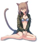  amekaze_yukinatsu animal_ears nekomimi tagme tail 