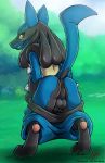  2018 balls blush butt dark_nek0gami grass grin looking_back lucario male nintendo pok&eacute;mon pok&eacute;mon_(species) red_eyes smile solo video_games 