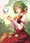  animal ascot bird bunny collared_shirt commentary_request cupping_hands green_hair hedgehog juliet_sleeves kazami_yuuka long_sleeves looking_at_viewer plaid plaid_skirt plaid_vest puffy_sleeves red_eyes seiza shirt short_hair sitting skirt squirrel terrajin touhou vest 