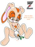  cream_the_rabbit sonic_team tagme zetar02 