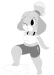  animal_crossing anthro breasts canine clothing dog exercise female gym_outfit gym_shorts hi_res isabelle_(animal_crossing) itsunknownanon mammal nintendo open_mouth shih_tzu shirt solo step_pose sweat tank_top video_games voluptuous workout 