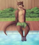  2018 5_fingers anthro blvejay bulge claws clothed clothing detailed digital_media_(artwork) hair happy hi_res looking_at_viewer male mammal mustelid otter pose relaxing short_hair sitting smile solo swimming_trunks swimsuit 