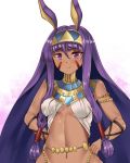  animal_ears bangs bare_shoulders blush breasts closed_mouth commentary dark_skin egyptian egyptian_clothes eyebrows_visible_through_hair facial_mark fate/grand_order fate_(series) hair_between_eyes hairband hands_on_hips highres jackal_ears jewelry long_hair looking_at_viewer medium_breasts navel nitocris_(fate/grand_order) purple_eyes purple_hair setu_(shining12) sidelocks smile solo upper_body very_long_hair white_background 