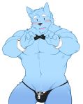  2018 anthro blue_fur blush bow_tie canine clothed clothing fur male mammal muscular sain seintaur simple_background solo standing thong topless white_background 