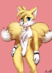  2018 anthro black_nose blue_eyes byondrage canine clothing dipstick_tail fox fur gloves hi_res male mammal miles_prower multicolored_tail pose signature smile solo sonic_(series) video_games white_fur yellow_fur 