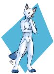  4_toes 5_fingers anthro arctic_fox blue_fur canine featureless_crotch fox fur leto_(letodoesart) letodoesart male mammal nude solo toes white_fur 