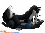  &lt;3 black_fur blue_fur canine feral fur grey_fur letodoesart licking male male/male mammal tongue tongue_out white_fur 