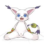  1girl artist_request blue_eyes digimon furry open_mouth pussy solo tailmon uncensored 