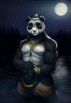  2018 anthro bear black_fur black_nose brown_eyes clothed clothing digital_media_(artwork) fur male mammal moon night outside panda smile solo standing tasanko topless 