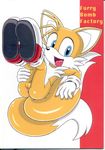  furry_bomb sonic_team tagme tails 