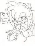  amy_rose pherociouseso sonic_team sonic_the_hedgehog tagme 