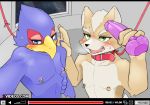  anthro avian beak bird blush canine dildo falco_lombardi fox fox_mccloud leash looking_at_viewer male male/male mammal nintendo nipple_piercing nipples piercing sex_toy star_fox sweat video_games げきしろ 