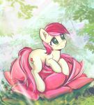  2017 cutie_mark earth_pony equine female feral flower friendship_is_magic grass green_eyes hair horse mammal mirroredsea my_little_pony outside plant pony red_hair rose_(mlp) smile solo 