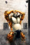  anthro clothing erection erection_under_clothes feline kuron looking_at_viewer male mammal musclegut muscular muscular_male shower solo tenting tiger underwear 