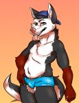  2018 anthro backwards_baseball_cap baseball_cap black_fur blue_eyes bulge canine clothed clothing digital_media_(artwork) dog fur green_eyes hat heterochromia husky invalid_tag jake_the_huskeh looking_at_viewer male mammal overweight pink_nose simple_background slightly_chubby smile solo standing swimming_trunks swimsuit swimwuit tongue tongue_out topless 