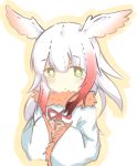  bangs bird_wings blush eyebrows_visible_through_hair frilled_sleeves frills fur_collar gloves hands_on_own_chest head_wings japanese_crested_ibis_(kemono_friends) kemono_friends long_sleeves momose_tsugumi multicolored_hair neck_ribbon red_hair ribbon short_hair sidelocks solo upper_body white_hair wings 