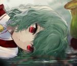  ascot commentary_request daimaou_ruaeru green_hair kazami_yuuka looking_to_the_side lying on_side plaid plaid_vest plant portrait red_eyes red_vest reflection shirt short_hair solo touhou vest water white_shirt wing_collar yellow_neckwear 