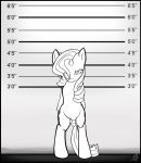  2013 animal_genitalia animal_penis balls black_and_white crossgender cutie_mark equine equine_penis feral flaccid friendship_is_magic hair height_chart hi_res horn male mammal monochrome my_little_pony penis pentabins rarity_(mlp) solo standing unicorn 