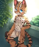  2018 4_fingers anthro blue_eyes blush briefs brown_fur bulge cat chest_tuft claws clothed clothing cub cute detailed_background feline fur happy hi_res hybrid inner_ear_fluff leopard looking_at_viewer male mammal multicolored_fur navel partially_clothed pink_nose sharp_claws smile solo standing tuft underwear unrealplace young 