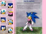  anthro crossgender female green_eyes hedgehog looking_at_viewer mammal plushdragon rouge_the_bat sonic_(series) sonic_the_hedgehog 