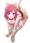  all_fours animal_ears animal_print arm_warmers ayumu-k belt blush bow bowtie breasts cleavage clenched_hands eyebrows_visible_through_hair fake_animal_ears fang frills fur-trimmed_legwear fur_trim highres kneehighs kneeling leopard_ears leopard_print leopard_tail looking_at_viewer love_live! love_live!_school_idol_project medium_breasts nishikino_maki paw_pose purple_eyes red_hair red_neckwear shadow smile solo tail white_background 