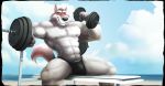  2014 abs anthro barbell beach biceps black_bottomwear black_clothing black_markings black_nose blue_sky canine clothed clothing cloud day digital_media_(artwork) dumbbell exercise facial_markings frostbiteposters fur grey_nipples looking_at_viewer male mammal markings multicolored_fur muscular muscular_male navel nipples outside pecs red_fur red_tail sea seaside sky smile solo speedo supermutt swimsuit two_tone_fur water weight_bench weightlifting weights white_fur wolf workout 