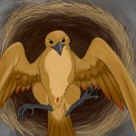  2018 animal_genitalia avian beak bird claws cloaca digital_media_(artwork) feathers female feral looking_at_viewer scratch_gryph_(artist) simple_background solo wings 