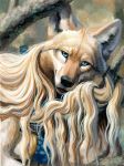  anthro black_nose blonde_hair blue_eyes canine coyote detailed_background female fur hair hibbary looking_at_viewer mammal smile solo tan_fur 