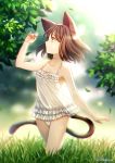  ahngkeut animal_ears pantsu tagme tail 