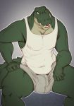  bulge clothing crocodile crocodilian male muscular muscular_male reptile scalie sethpup shirt solo tagme tank_top underwear 
