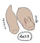  2016 duo feral japanese_text lagomorph mammal planarian rabbit simple_background text translated white_background worm 井口病院 