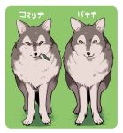  2016 canine duo feral ichthy0stega japanese_text mammal simple_background text translated wolf 