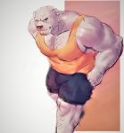  2018 anthro bear biceps clothing digital_media_(artwork) ep06 fur hi_res male mammal muscular muscular_male simple_background 
