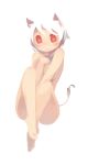  animal_ears cat_ears convenient_leg covering covering_breasts full_body hand_on_own_chest heart heart-shaped_pupils looking_at_viewer no_nose nude original red_eyes sakamoto_ahiru short_hair sitting smile solo symbol-shaped_pupils tail white_background white_hair 