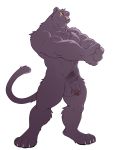  2018 abs anthro biceps big_muscles black_fur black_panther chest_tuft digital_media_(artwork) feline fur hi_res male mammal muscular muscular_male nude panther pecs penis ray_(takemoto_arashi) scar simple_background takemoto_arashi tuft uncut 