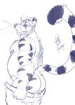  anthro butt clothed clothing donryu feline hi_res looking_at_viewer male mammal mooning overweight pants pants_down partially_clothed slightly_chubby solo tiger vex_(character) 