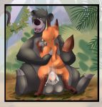  anal anal_penetration anthro balls baloo bear big_balls canine cowgirl_position cum cum_in_ass cum_inside disney fox invalid_tag male male/male mammal nick_wilde on_top open_mouth orgasm panting penetration penis raised_tail sex sweat the_jungle_book xxgato zootopia 
