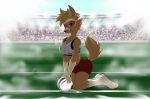  2018 anthro bedroom_eyes canine crossgender digital_media_(artwork) drake_drachenlicht female fifa football_(disambiguation) fur grass half-closed_eyes looking_at_viewer mammal mascot seductive soccer solo sport sportswear stadium wolf zabivaka 