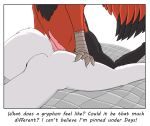  ambiguous_gender anthro avian bed black_feathers butt canine colrblnd_(artist) days_felter dog duo duzt_(artist) english_text erection feathered_wings feathers from_behind_position fur gryphon lying male male/ambiguous mammal measureup nude oata_rinsky on_bed on_front penis raised_tail red_feathers samoyed sex simple_background text white_background white_fur wings 