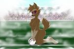  2018 anthro bedroom_eyes canine crossgender digital_media_(artwork) drake_drachenlicht female fifa football_(disambiguation) fur grass half-closed_eyes looking_at_viewer mammal mascot nude seductive soccer solo sport stadium wolf zabivaka 