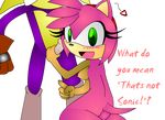  amy_rose fang_the_sniper sonic_team tagme 