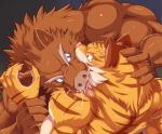  boar cum feline kissing male male/male mammal muscular porcine tiger urakata5x 