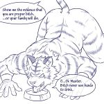  cum cuntboy dialogue feline intersex male mammal master/slave muscular solo tiger urakata5x 