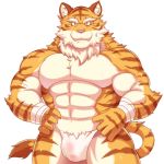  bulge clothing feline fundoshi japanese_clothing male mammal muscular pcs solo tiger underwear urakata5x 
