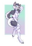  anthro blush canine diaper dog dracky embarrassed husky male mammal solo standing watermark 