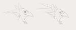  anthro avian beak bird cat_ears_(disambiguation) design feline gryphon hd01 mammal practice simple_background sketch toucan white_background 