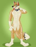  2018 4_toes anthro black_collar blue_eyes bodysuit bulge canine clothed clothing collar coyote decafyote digital_drawing_(artwork) digital_media_(artwork) feet fur green_background hornbuckle male mammal markings open_mouth rubber shiny simple_background skinsuit smile solo teeth tight_clothing toes tongue tongue_out 