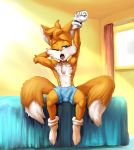  2_tails anthro athletic bed blue_eyes boxers_(clothing) bulge byondrage canine chest_tuft clothed clothing curtains dipstick_tail fox fur gloves inside legwear male mammal miles_prower morning multi_tail multicolored_fur multicolored_tail navel on_bed one_eye_closed open_mouth penis_outline socks solo sonic_(series) stretching topless tuft two_tone_fur underwear white_fur window yawn yellow_fur 